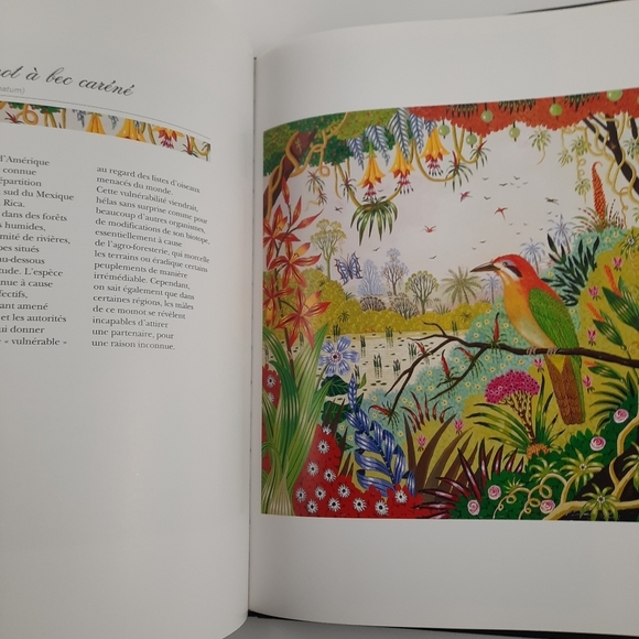 FRENCH BOOK + LITHOGRAPH Signed Alain Thomas Les Oiseaux d'Amerique du Sud Birds - Picture 9 of 14